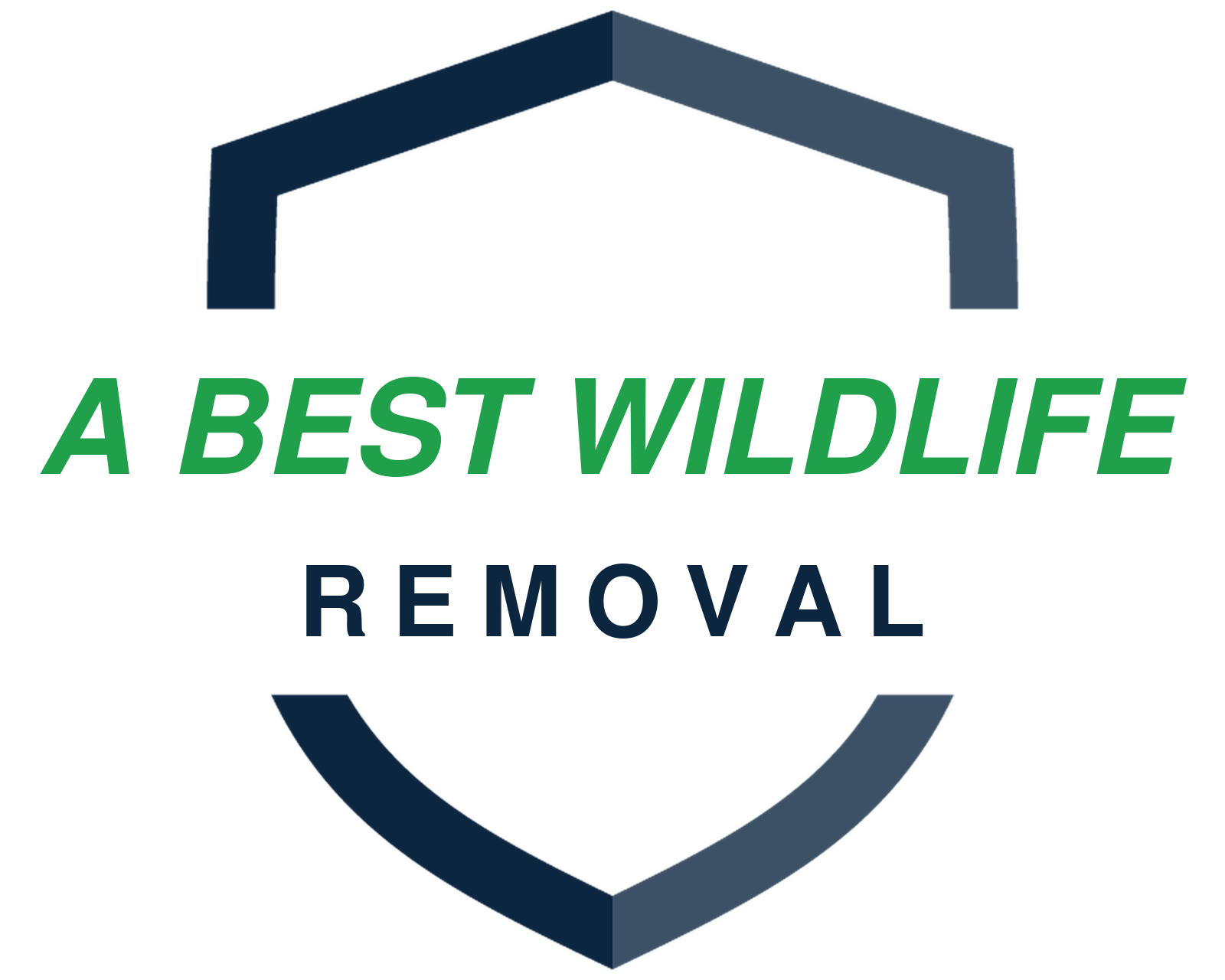 A Best Wildlife Removal